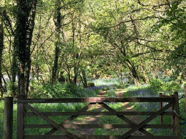 Down The Garden Path Vintage Caravan B&B , Dartmoor Ньютон Эбэт Экстерьер фото